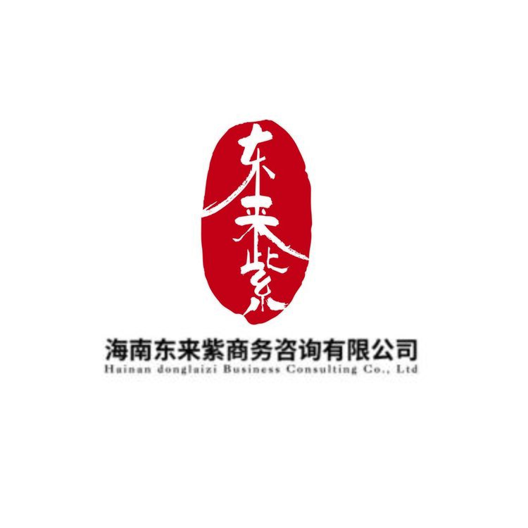 河南东来紫商务咨询有限公司logo