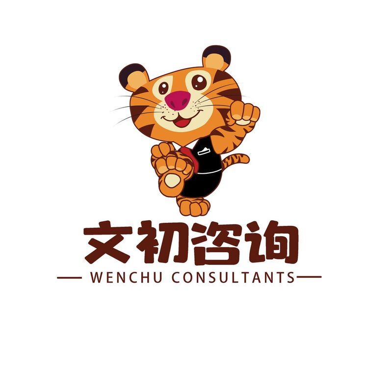 文初咨询logo