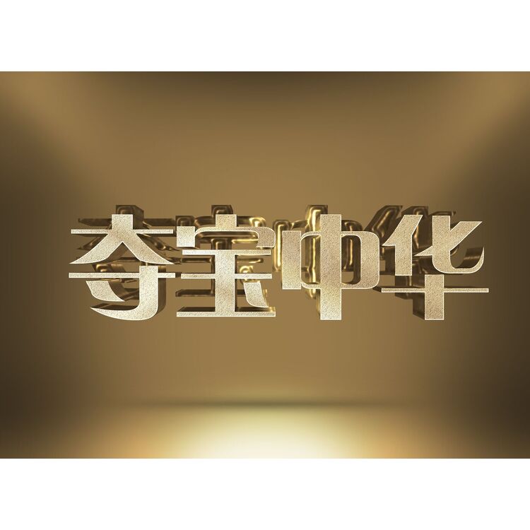 夺宝中华logo