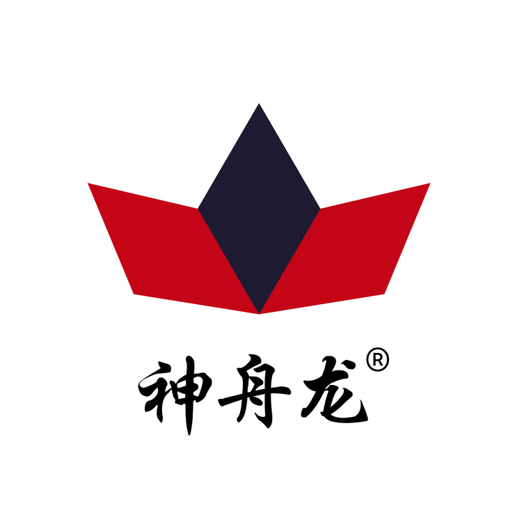 神舟龙logo