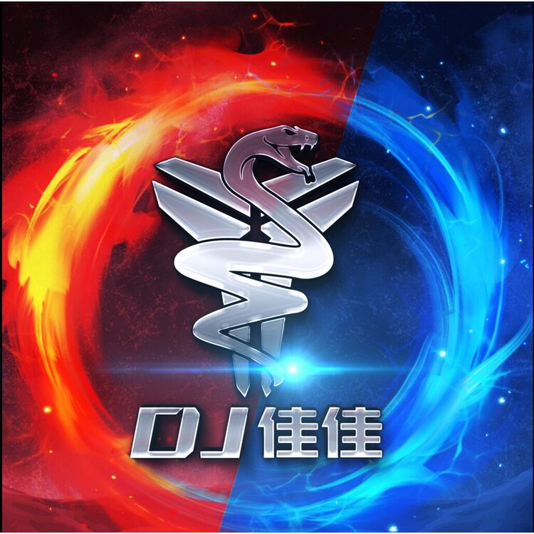 DJ  佳佳logo