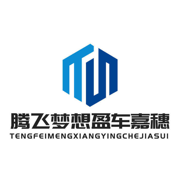 腾飞梦想盈车嘉穗logo