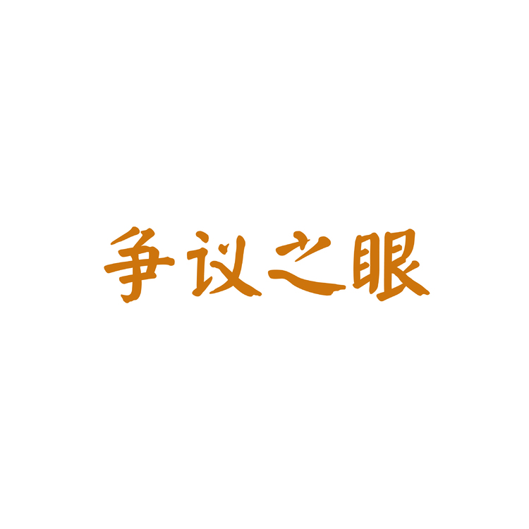 争议之眼logo