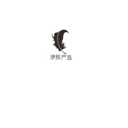 洢辰严选logo