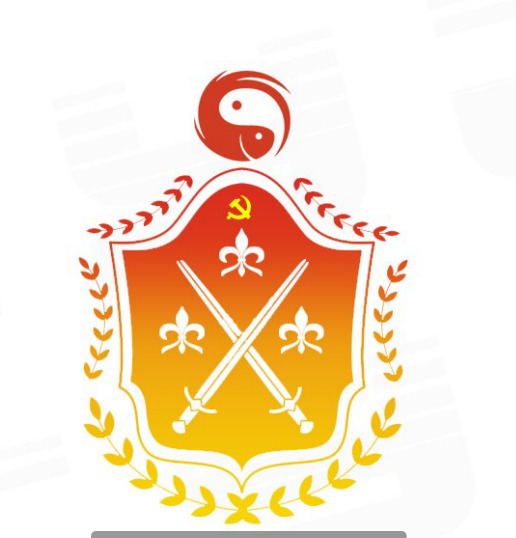 剑盾logo