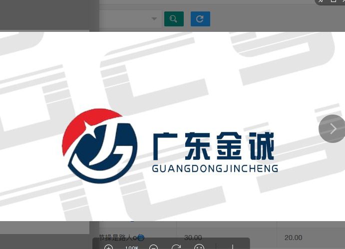 广东金诚logo