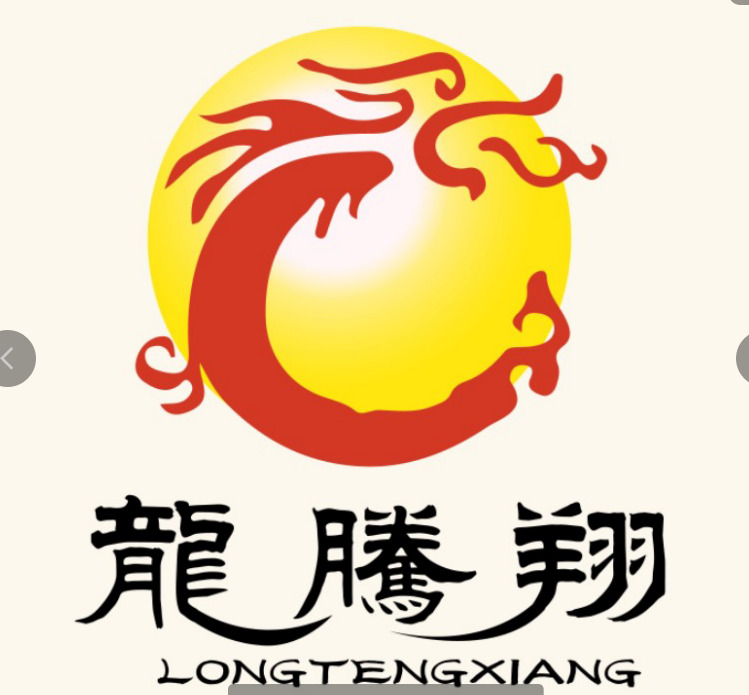 龙腾翔logo