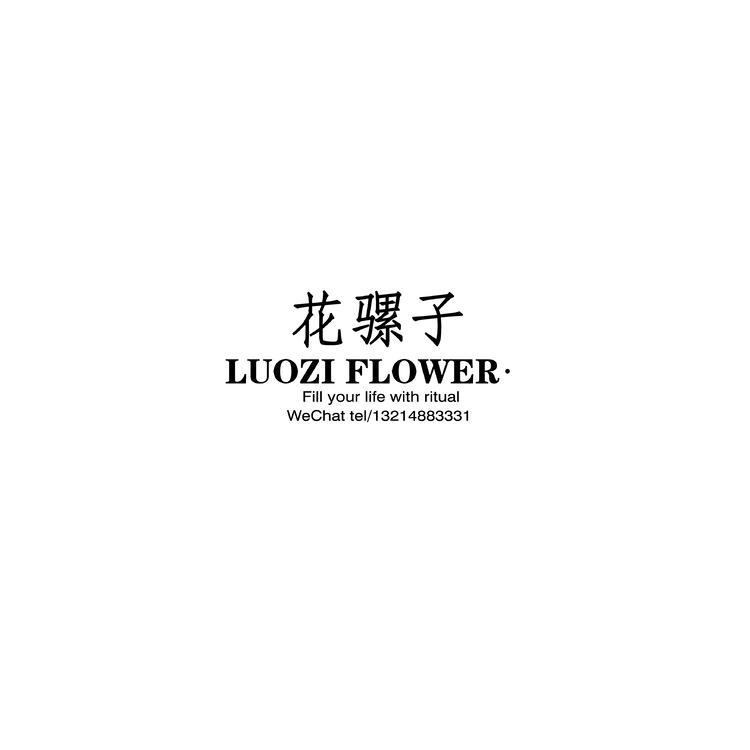 花螺子logo