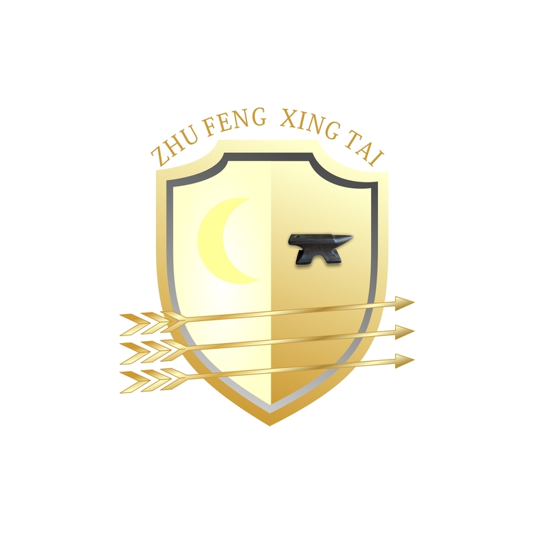 铸丰星泰logo