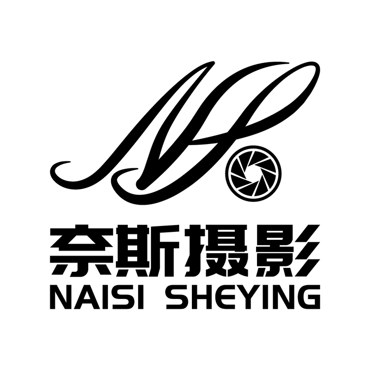 奈斯摄影logo