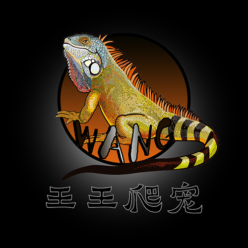 王王爬宠logo