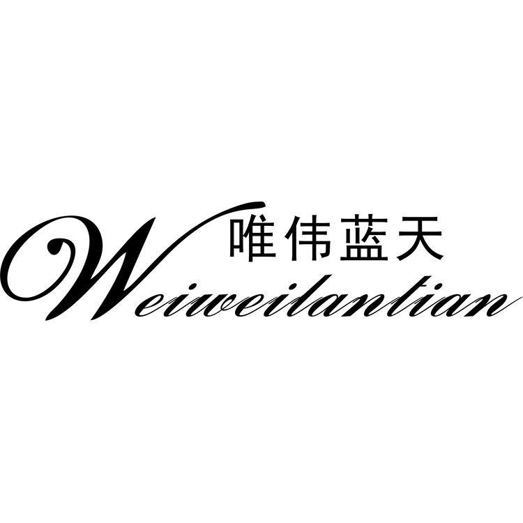 唯伟蓝天logo