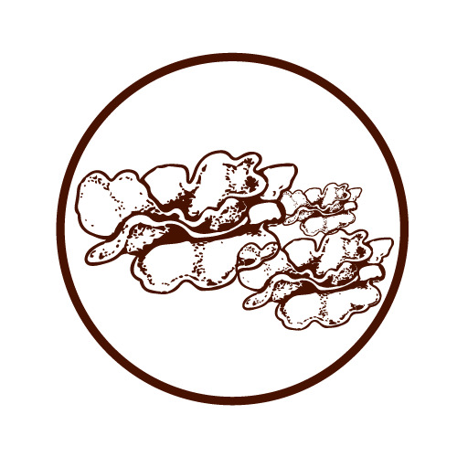 天葵logo设计