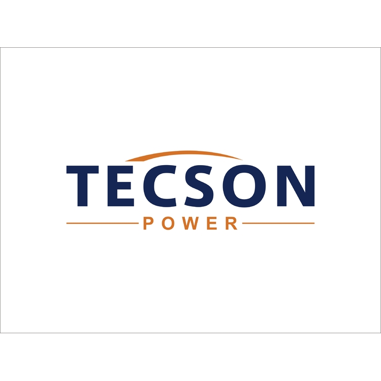 TECSONlogo