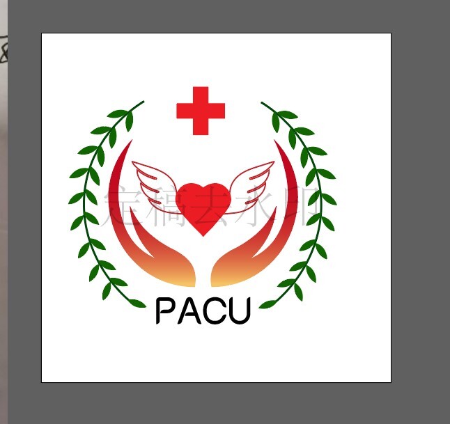 paculogo