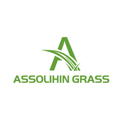 ASSOLIHIN GRASS