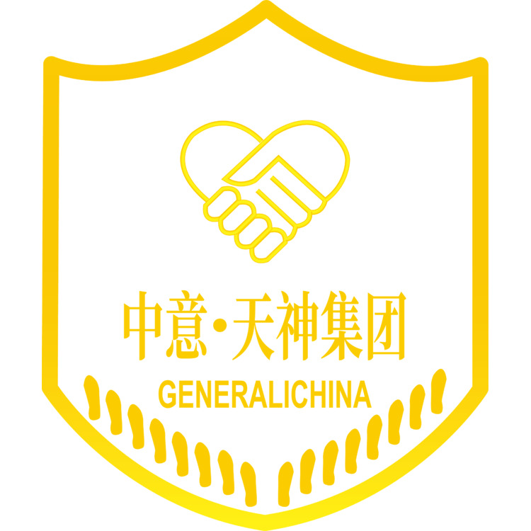 中意天神集团logo