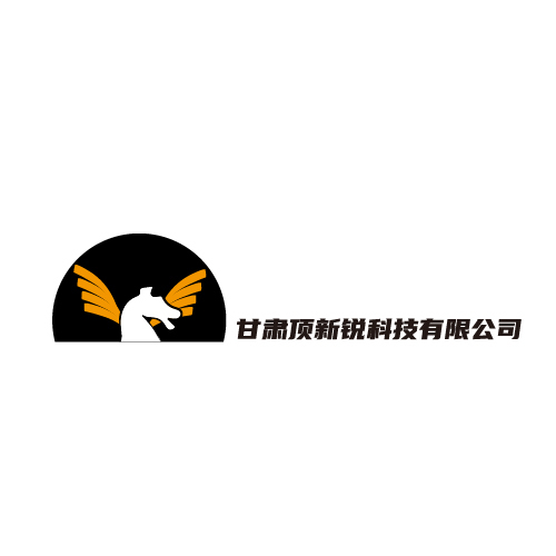 甘肃顶新锐科技有限公司logo