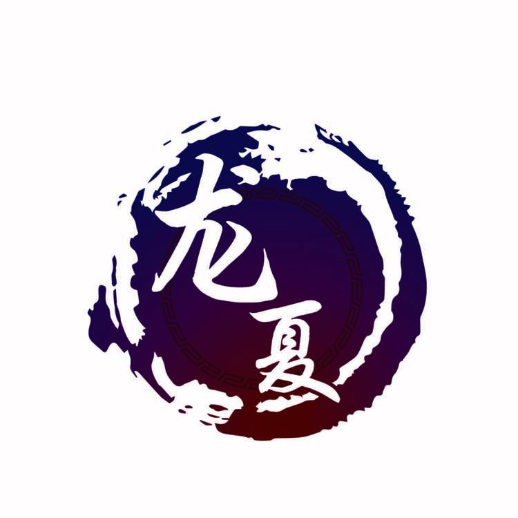 龙夏logo