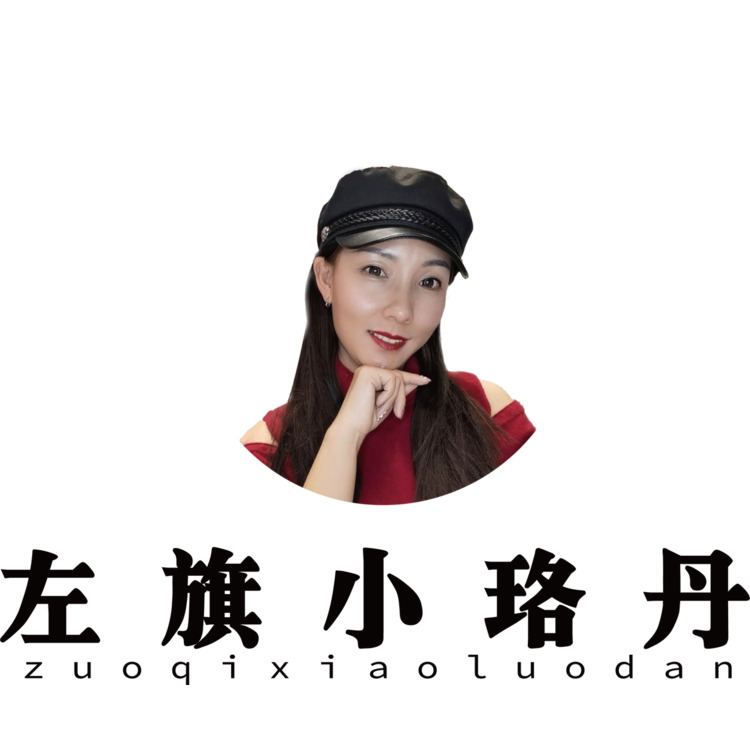 左旗小骆丹logo