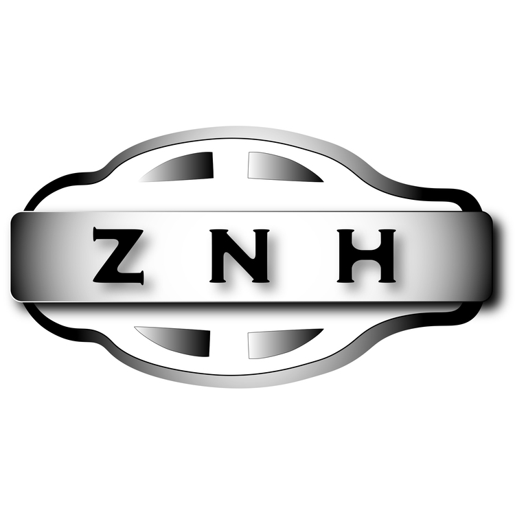 ZNHlogo