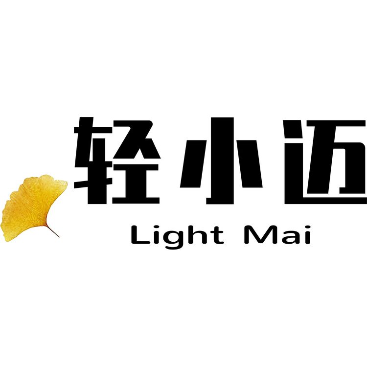 轻小迈logo