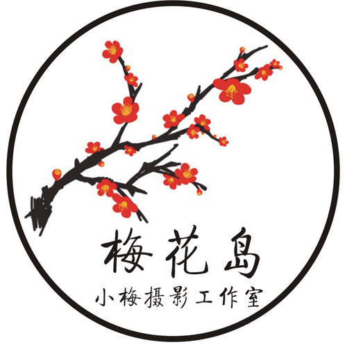 桃花岛logo