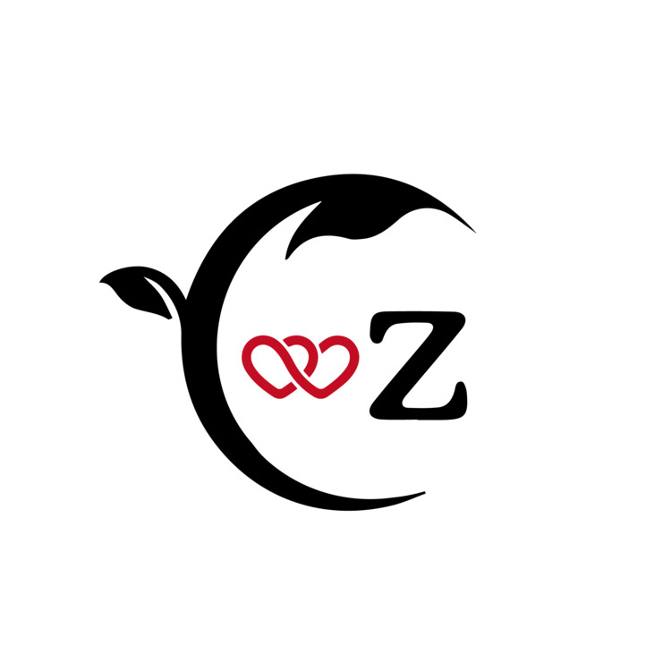 CZlogo