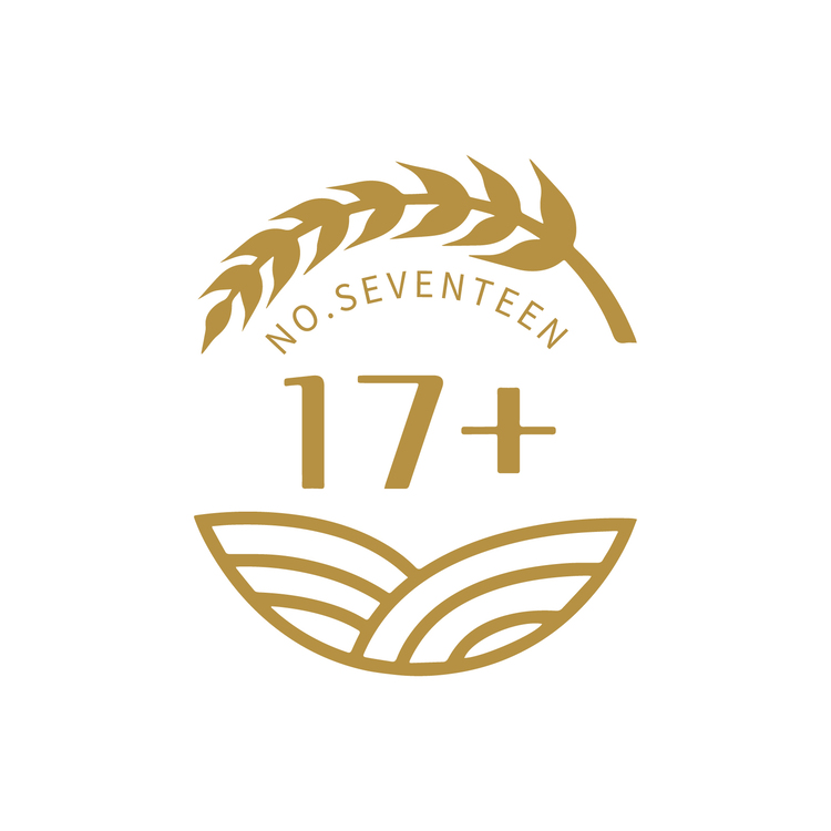 17+logo