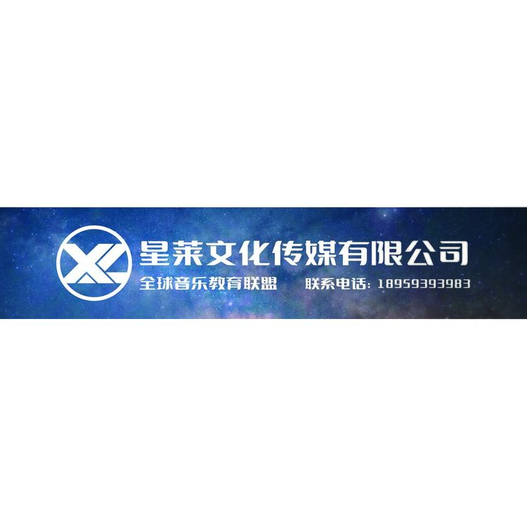 星莱文化传媒有限公司logo