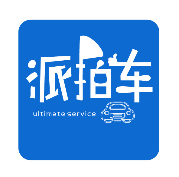 派拍车logo