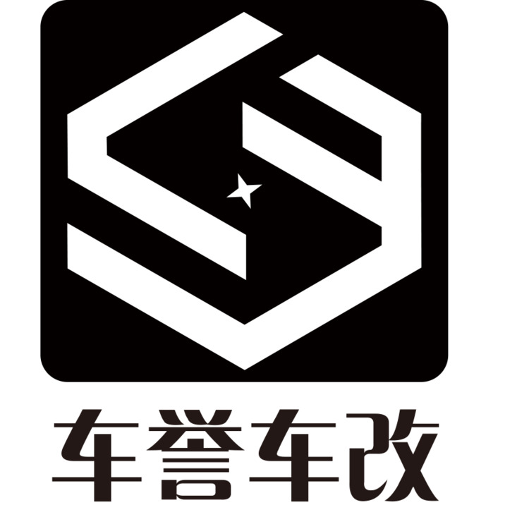 车誉车改logo