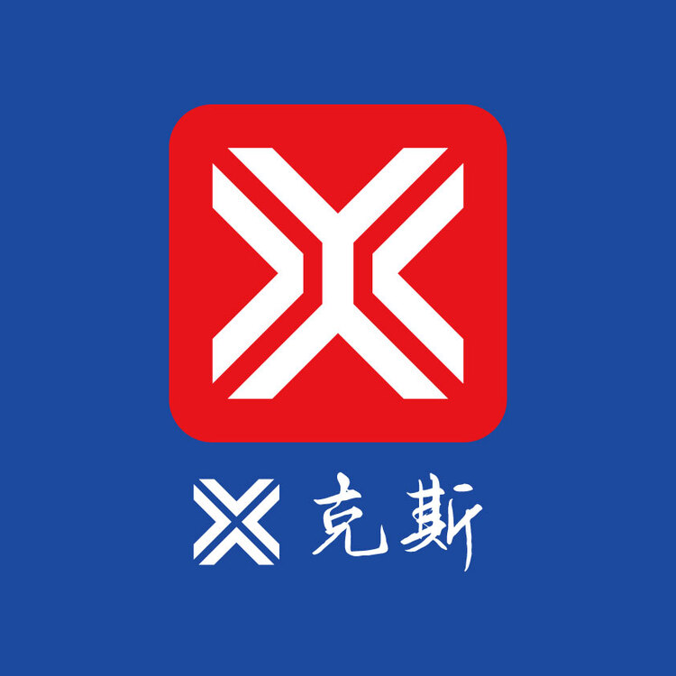 艾克斯logo