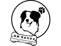 卓越 专业牧羊犬