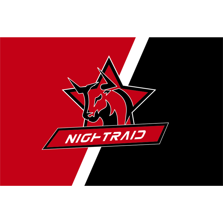 NIGHTRAIDlogo