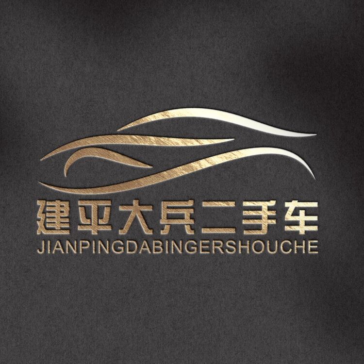 建平大兵二手车logo