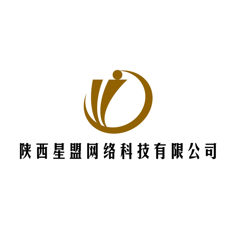 陕西星盟网络网络科技有限公司logo