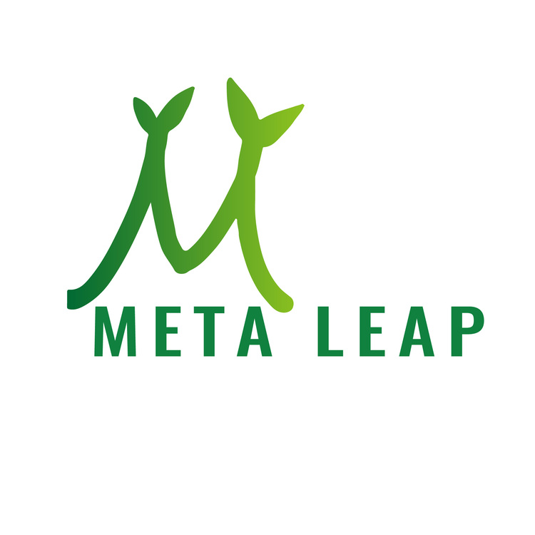 Meta Leaplogo