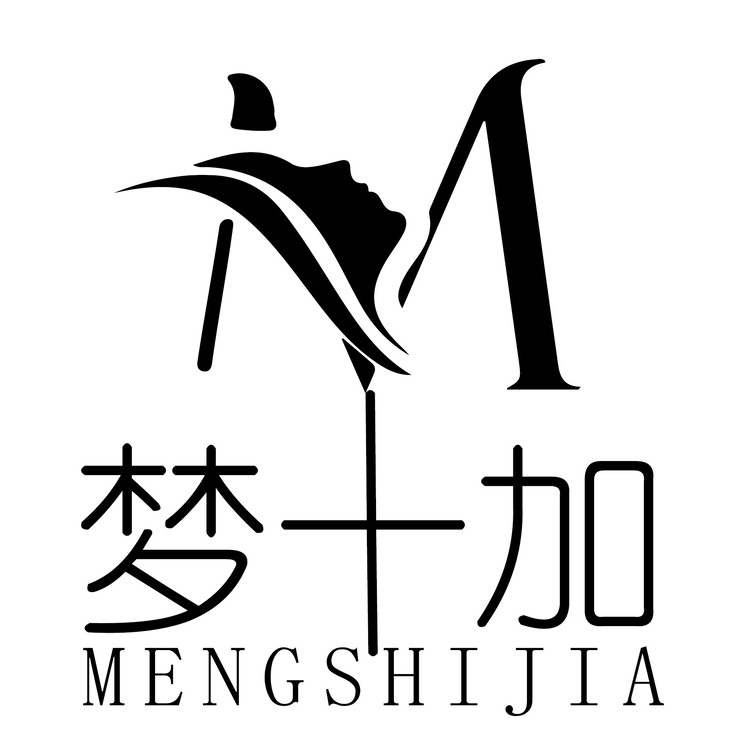 梦十加logo