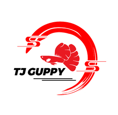 TJ GUPPY