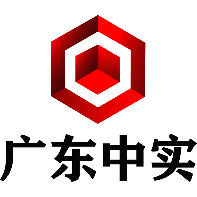 广东中实定稿logo