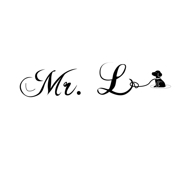 Mr.Llogo