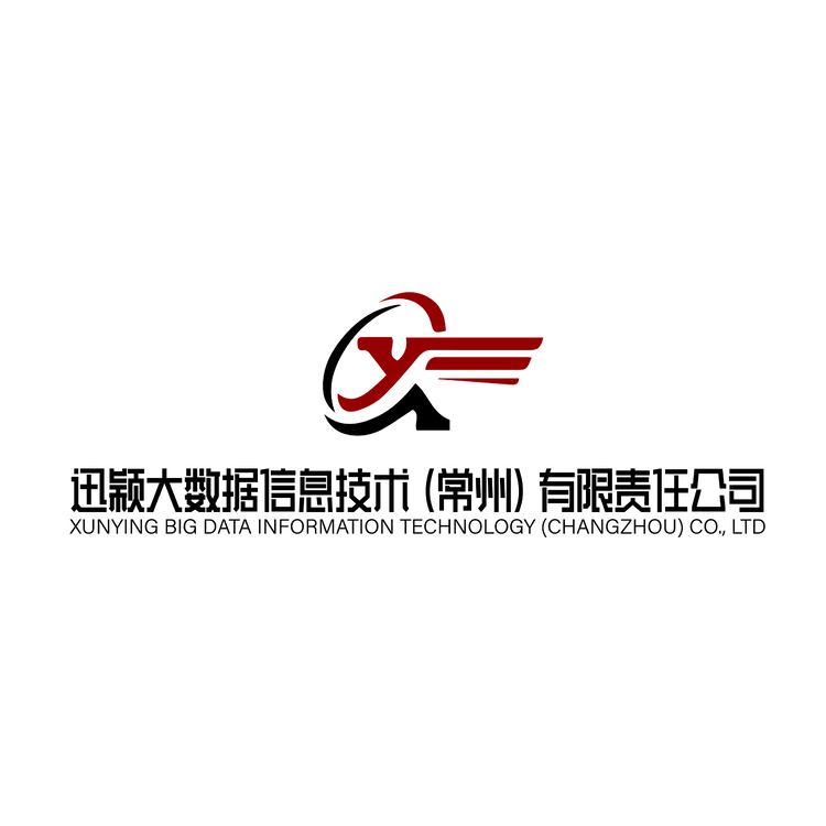 迅颖大数据信息技术(常州)有限责任公司logo