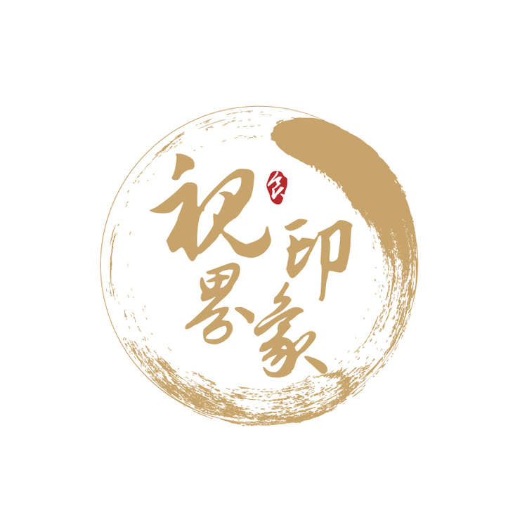 视界印象logo