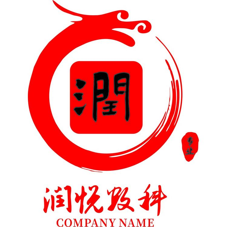 润悦数科logo