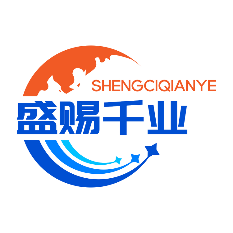 盛赐千业logo