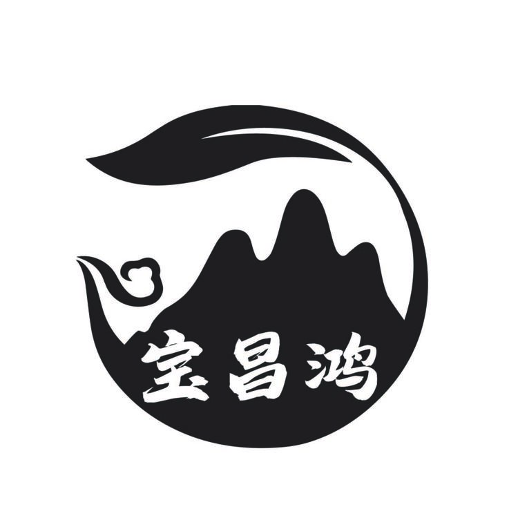 宝长鸿logo