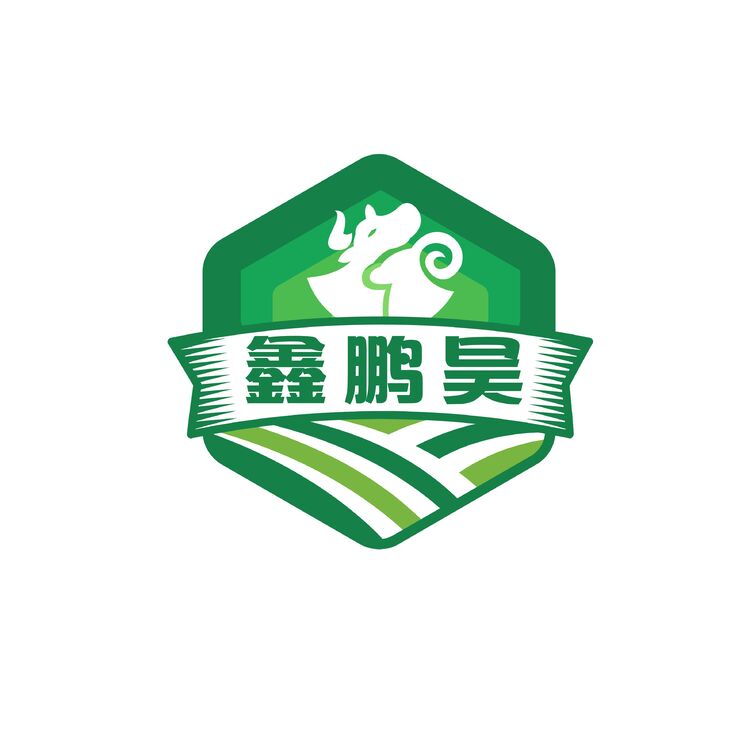 鑫鹏昊logo