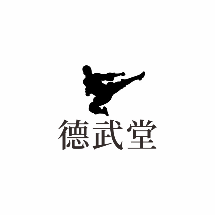 武术8523logo