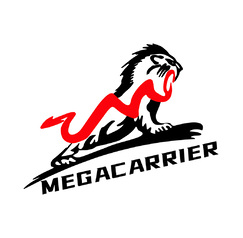 MEGACARRIER